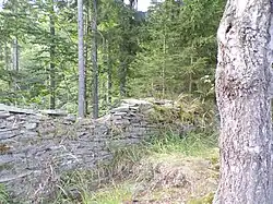 Zbytky zdiva Veisenštejnu