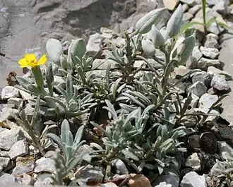 alternativní popis obrázku chybí