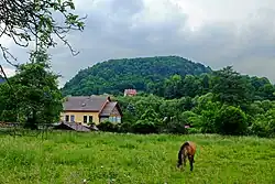 Liščí vrch u Velichova