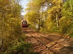 Turistický vlak v lese u Velichova (2014)