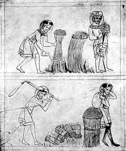 Výjev z Velislavovy bible, kde svatý Václav se svým služebníkem sklízí obilí k pečení hostií