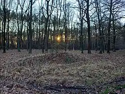 Vrchol Velká Dorota (prosinec 2020)