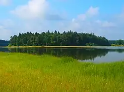 Fotografie ze břehu rybníka