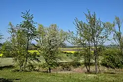 Střední část chráněného území s vysušenou vodní nádrží