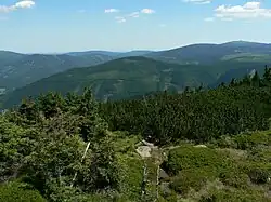 Pohled na Velký Klín z Červené hory, v pozadí vlevo Medvědská hornatina, vpravo Praděd