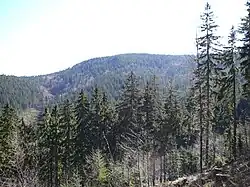 Velký Polom, nejvyšší vrchol Zadních hor