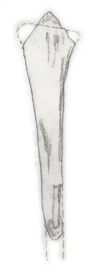 alternativní popis obrázku chybí