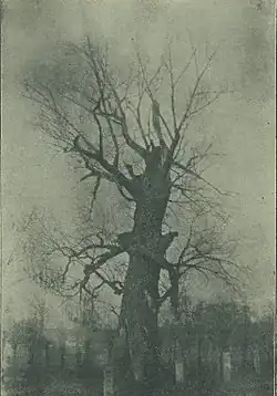 přelom 19. a 20. století (Jan Vilím)