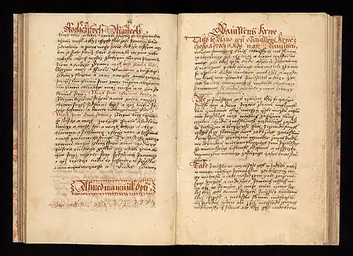 Recepty na masti a pojednání o pouštění žilou ve velvarské lékařské knize z roku 1574. Archiv města Velvary, nezprac. fond. (SOkA-Kladno)