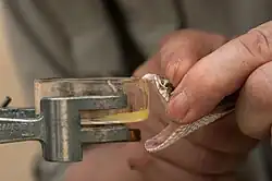 Extrakce jedu zmije v Rádžasthánu, 2010