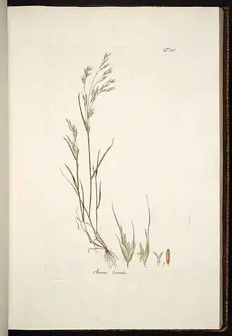 alternativní popis obrázku chybí