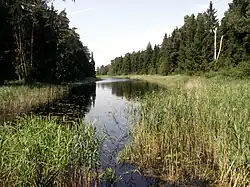 Kanál u Žadvainiů