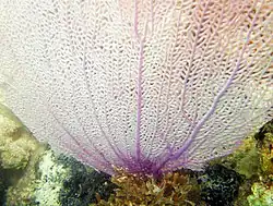 alternativní popis obrázku chybí