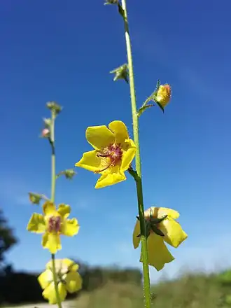 alternativní popis obrázku chybí