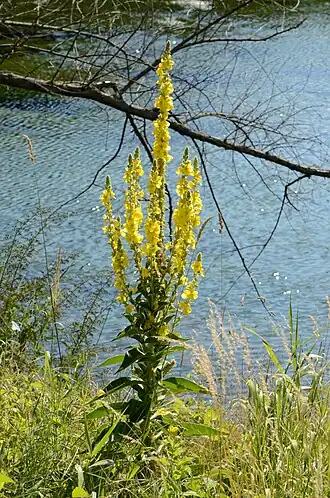 alternativní popis obrázku chybí