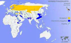 Rozšíření jeřába popelavého (žlutě hnízdiště, modře zimoviště).