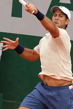 Fernando Verdasco