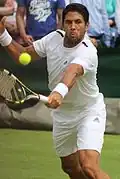 Fernando Verdasco