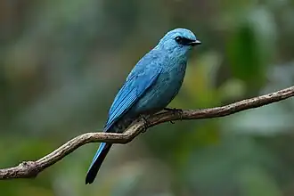 popis obrázku chybí