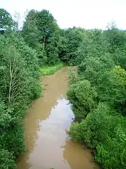 Dolní tok řeky u Verbyliškės
