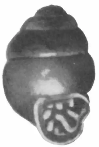 alternativní popis obrázku chybí