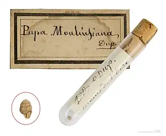 alternativní popis obrázku chybí