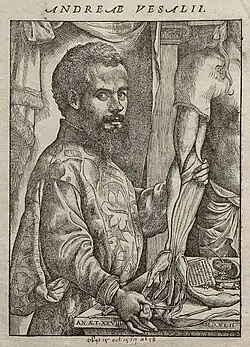 Andreas Vesalius (1543)