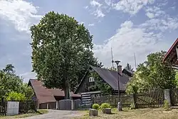 Vesec cp10-07-2019-vesec u sobotky.jpg