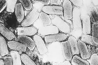 alternativní popis obrázku chybí