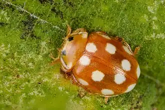 alternativní popis obrázku chybí