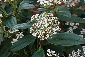 alternativní popis obrázku chybí