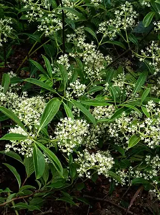 alternativní popis obrázku chybí