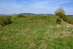 Vidhostice 2016-04-30 Tvrziště.jpg