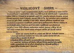 Vidlicový smrk, informační cedule