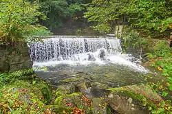 Vidnávka v Tomíkovicích u Žulové v září 2014