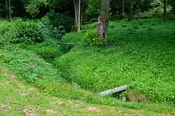 Vintířovský potok na kraji osady