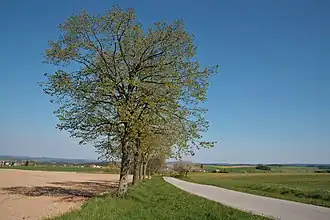 Silnice II/391 u Vidonína