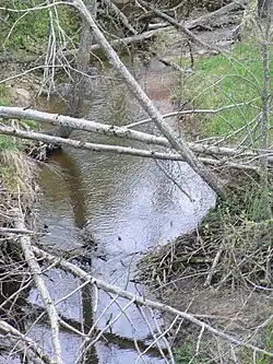 Vieštovė po proudu