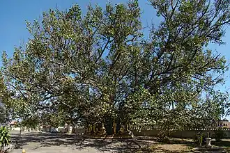 alternativní popis obrázku chybí