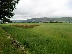 Pohled na Campsie Fells v blízkosti pevnosti Auchendavy[1]