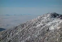 Vrcholové časti hřebene Vihorlatu tvoří horské louky, ze kterých se naskytá strhující výhled