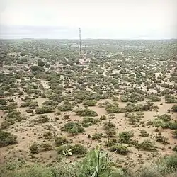 Thárská poušť tvoří přirozenou hranici mezi Indií a Pákistánem.