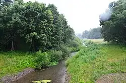 Vilka u obce Anužiai