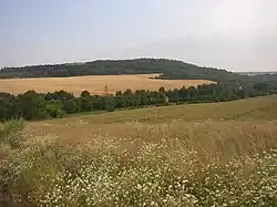 Vinařická hora pohledem od severovýchodu