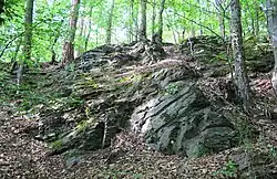 Výchozy kambrických hornin v PP Vinice