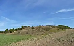 Vinohrady od jihozápadu (2011)