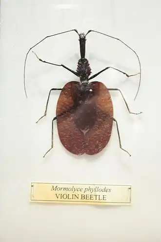 alternativní popis obrázku chybí