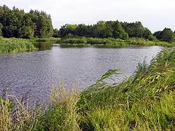 Soutok řek Virvytė (na obr. vlevo) a Venta u vsi Santekliai