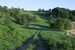 Přírodní rezervace Visengrunty