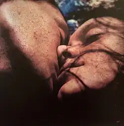 Didier Ben Loulou: Bez názvu